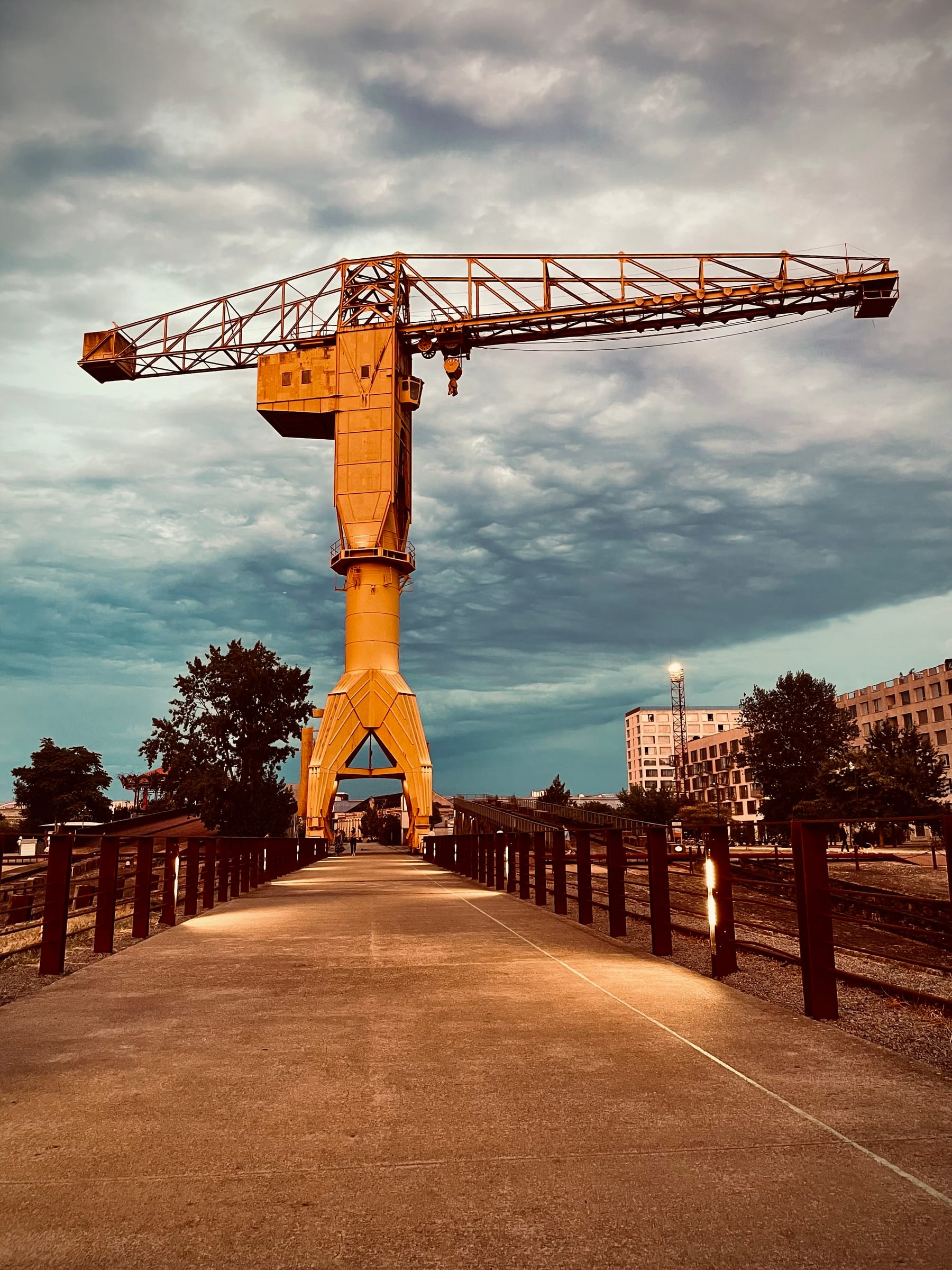 Grue Jaune - Nantes